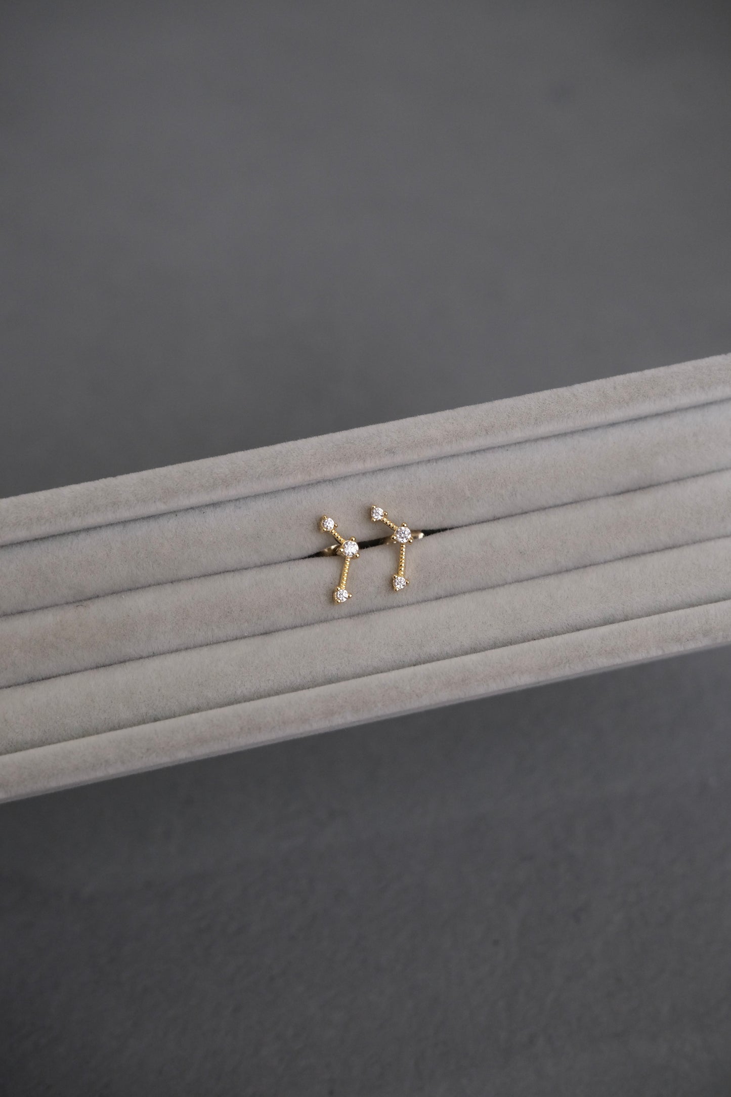Rasi Stud Earrings