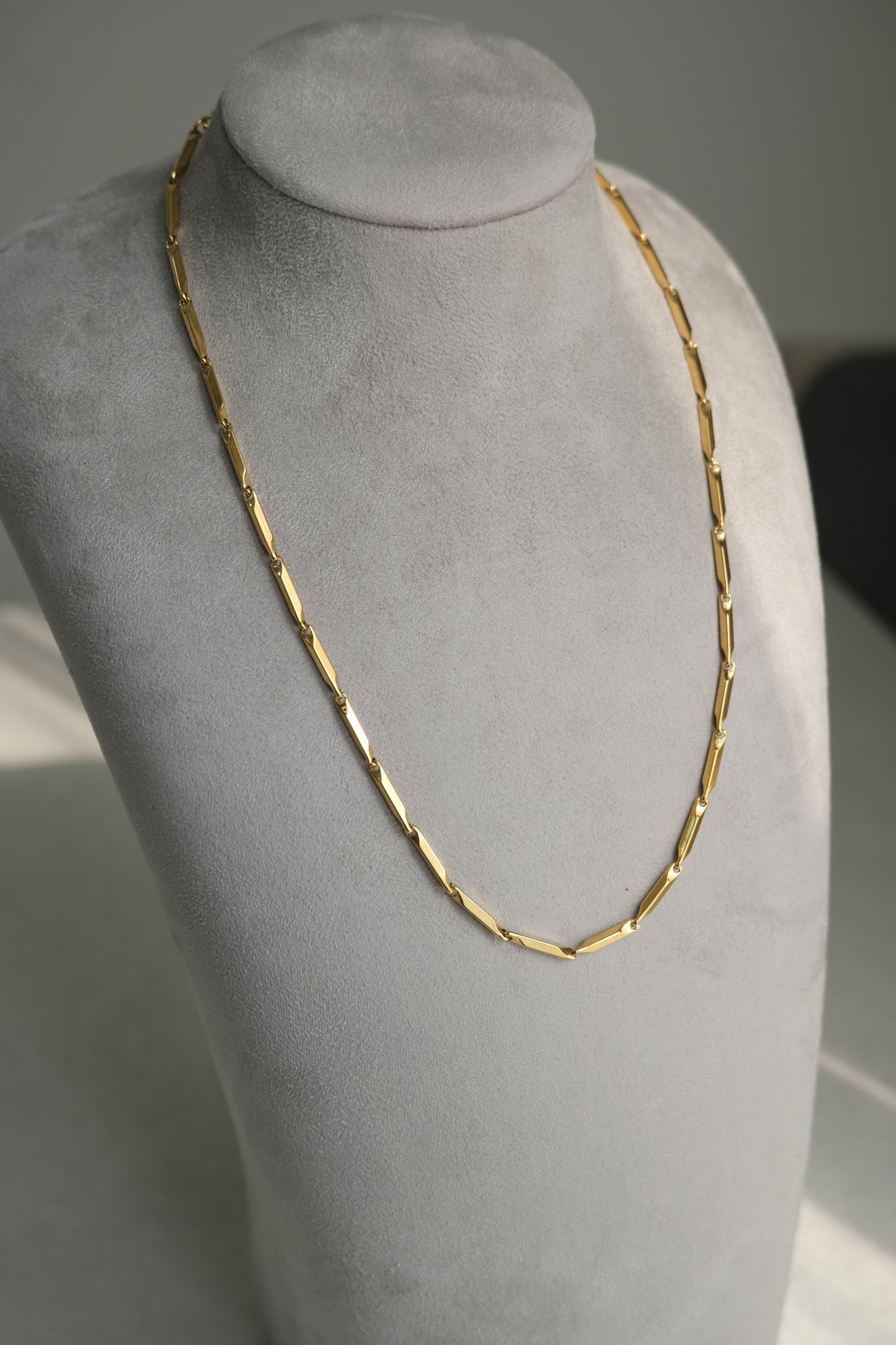 Seed Chain Necklace